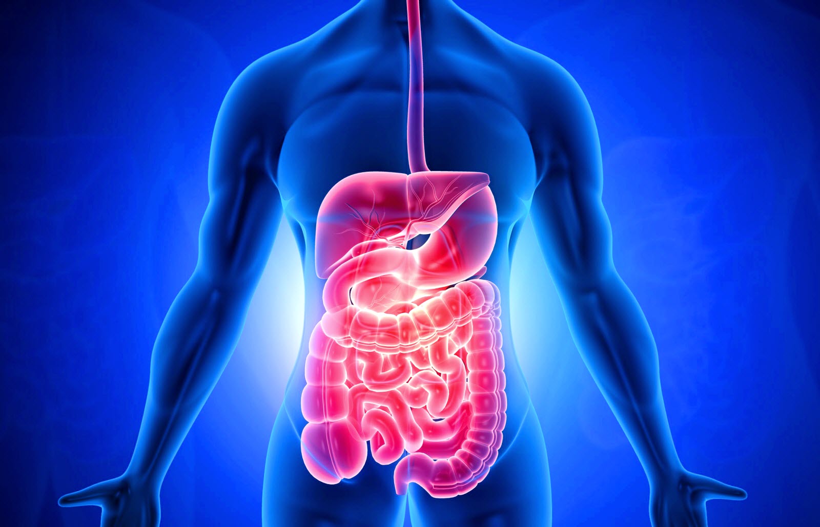 Gastroenterologist Main Picture 2