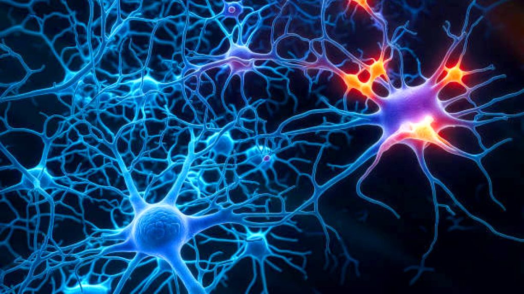 Neurology HD Main Pic