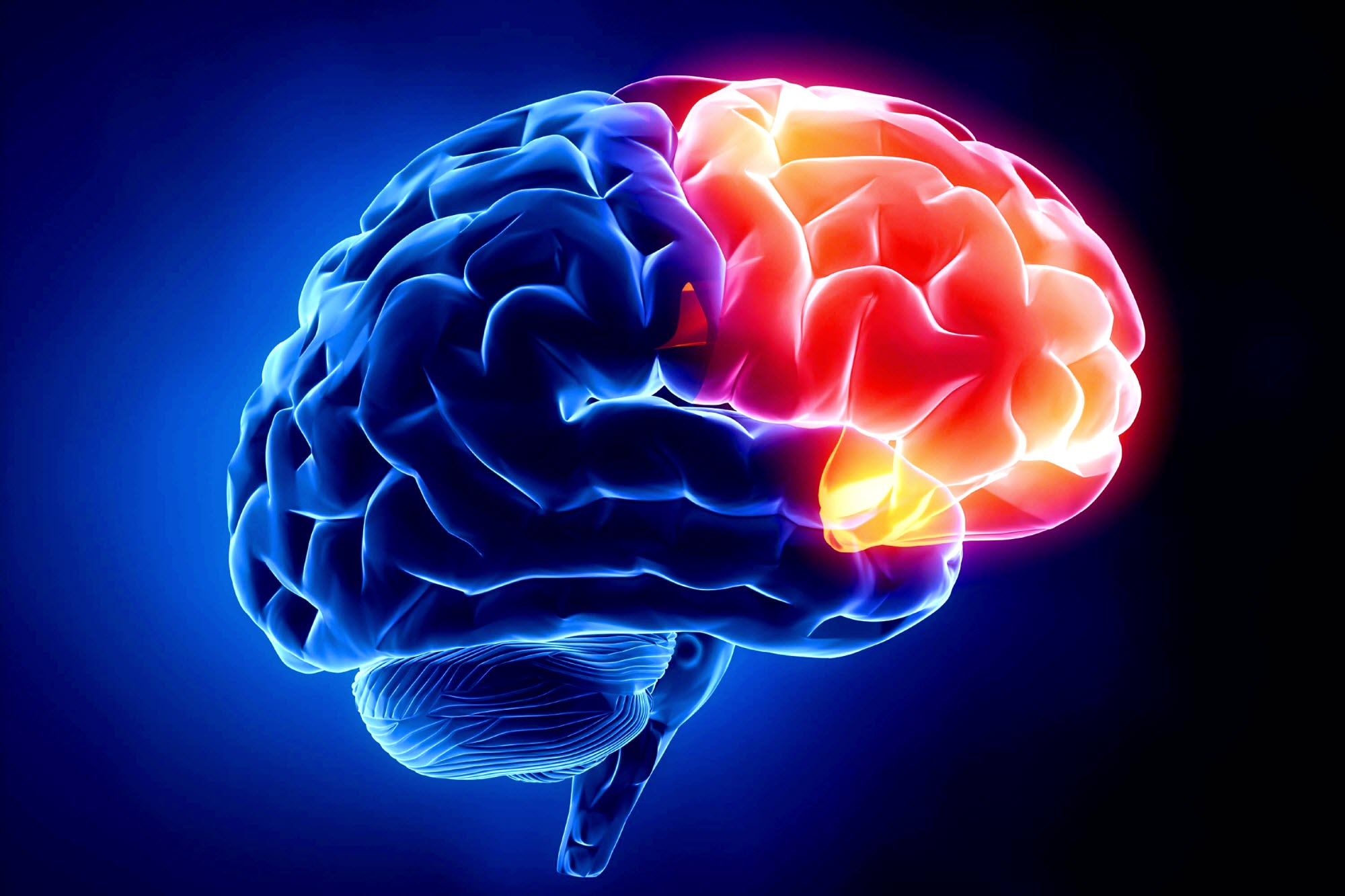 Neurology Main Picture