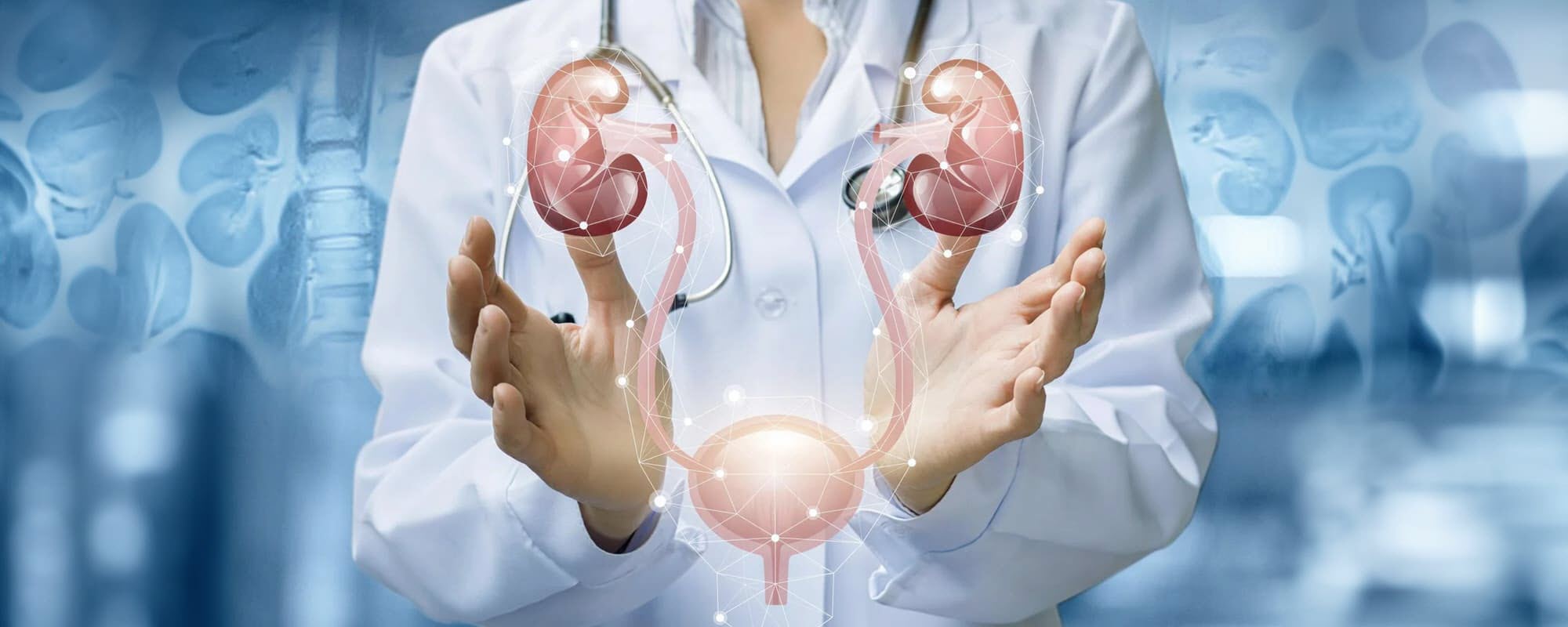 Urology Main HD Picture